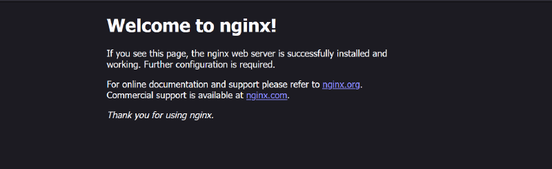 Featured image of post build nginx on alpine